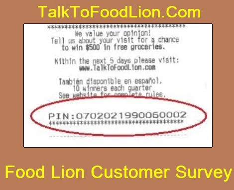 talk to food lion sample receipt